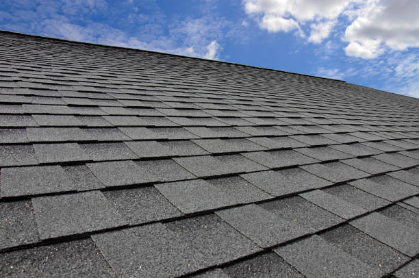 Trusted Murray, KY Roofing Services Experts